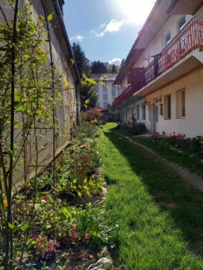 Central place Brasov